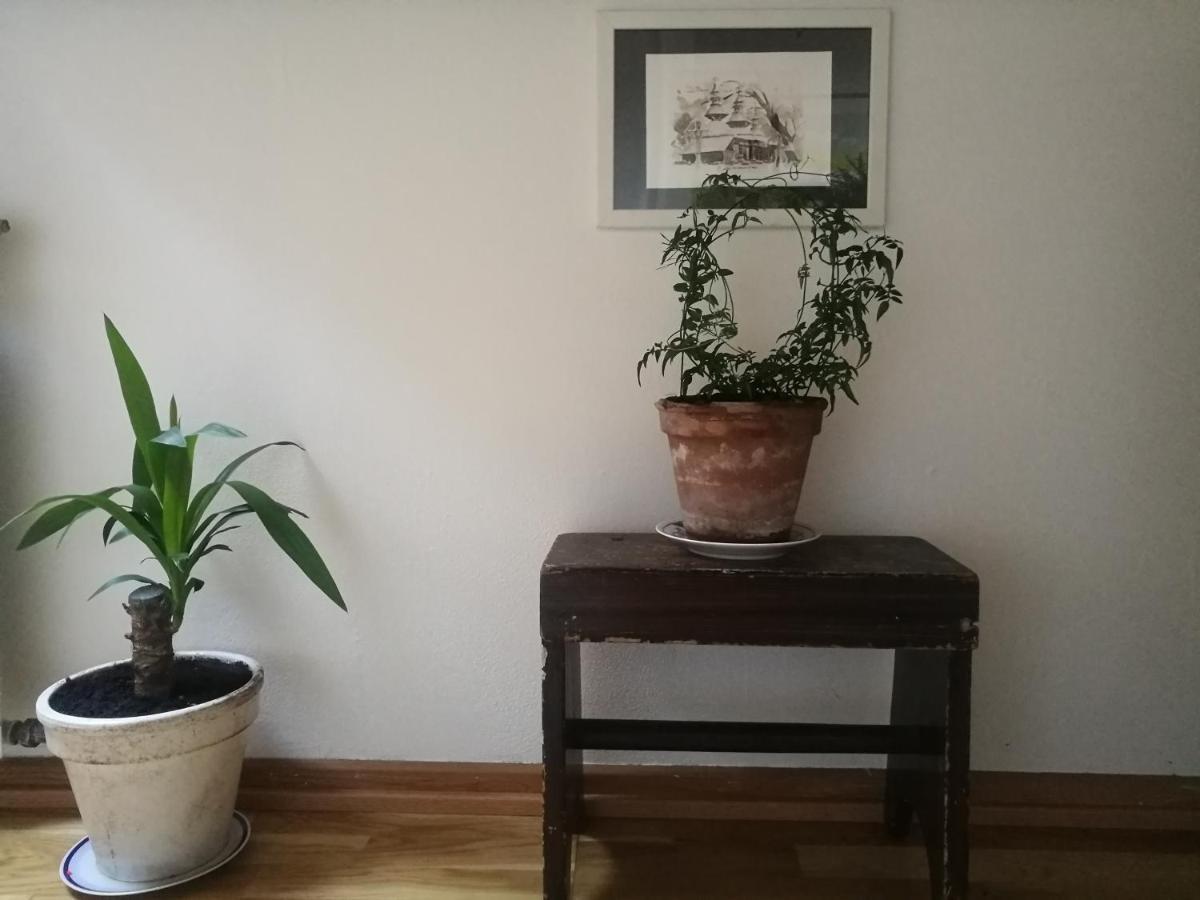 Green Vagon, Farm B&B Rooms For Rent Hjørring المظهر الخارجي الصورة